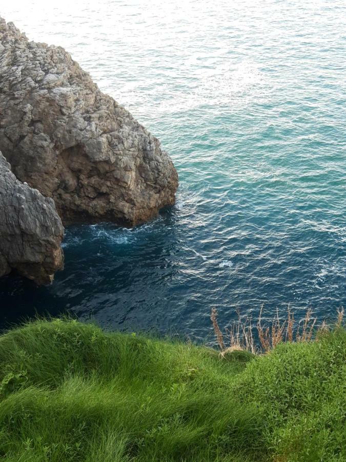 Hébergement de vacances La Torruca Orena